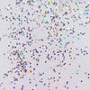 SFXC Glitter Silver Holographic Rainbow Glitter